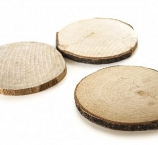 Wood Round Slices : 6 - 8 cm : Pack of 5