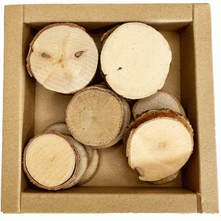 Wooden Round Slices : 3 -5 cm : Pack of 24