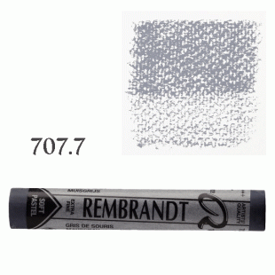 Rembrandt : Soft Pastel : Mouse Grey : 707.7