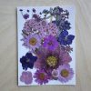 Сухи Пресовани Цветя | 10 x 15 cm | 22 Броя | 16 Вида | Лилави