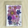 Сухи Пресовани Цветя | 10 x 15 cm | 22 Броя | 16 Вида | Лилави